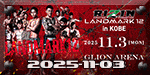 RIZIN LANDMARK 12 - Hagiwara vs. Akimoto - Nov 3