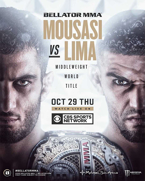 Bellator 250 720p WEBRip x264-WH